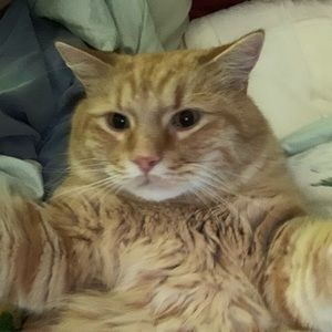 Meet your Posher, Valerie